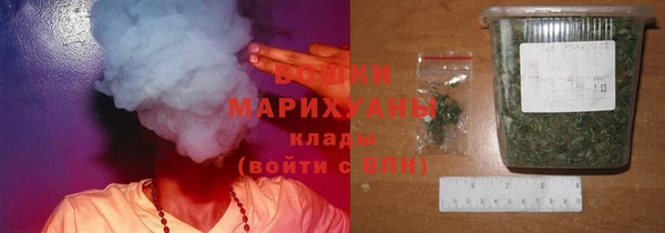 ПСИЛОЦИБИНОВЫЕ ГРИБЫ Лабытнанги
