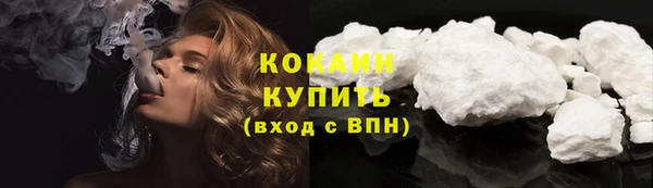 дживик Лагань