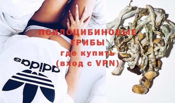 дживик Лагань