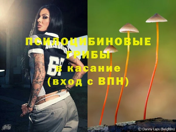 мяу мяу мука Ладушкин