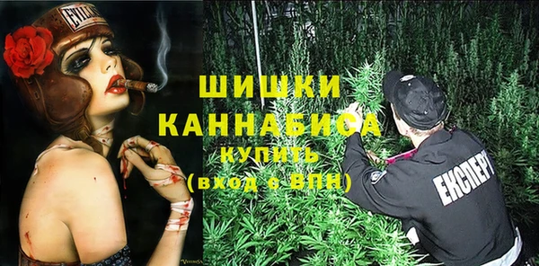ПСИЛОЦИБИНОВЫЕ ГРИБЫ Лабытнанги