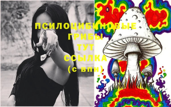 дживик Лагань