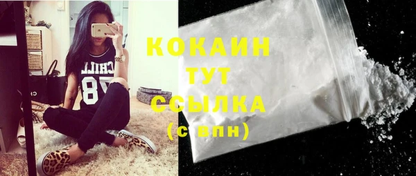 дживик Лагань